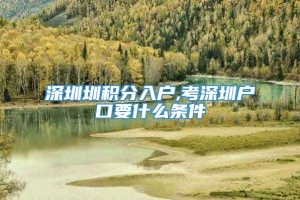 深圳圳积分入户,考深圳户口要什么条件