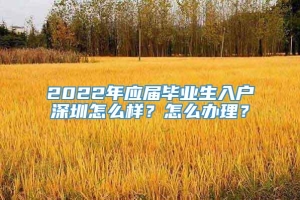 2022年应届毕业生入户深圳怎么样？怎么办理？