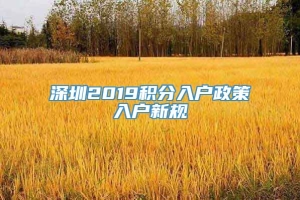 深圳2019积分入户政策入户新规