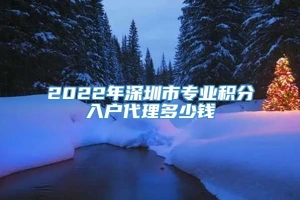 2022年深圳市专业积分入户代理多少钱