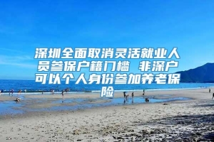 深圳全面取消灵活就业人员参保户籍门槛 非深户可以个人身份参加养老保险