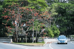 非深户有居住证可以申请深圳的公租房轮候吗