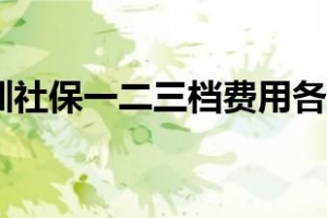 2022年深圳社保一二三档费用各是多少钱