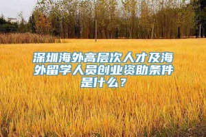 深圳海外高层次人才及海外留学人员创业资助条件是什么？