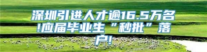 深圳引进人才逾16.5万名!应届毕业生“秒批”落户!