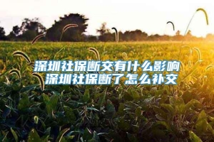 深圳社保断交有什么影响 深圳社保断了怎么补交