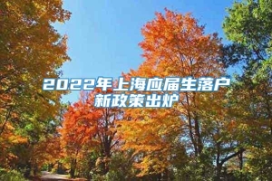 2022年上海应届生落户新政策出炉