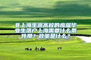 非上海生源高校的应届毕业生落户上海需要什么条件那？政策是什么？