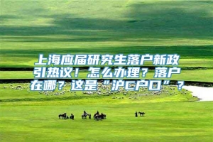 上海应届研究生落户新政引热议！怎么办理？落户在哪？这是“沪C户口”？