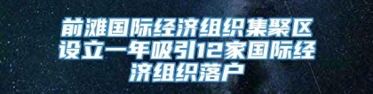 前滩国际经济组织集聚区设立一年吸引12家国际经济组织落户