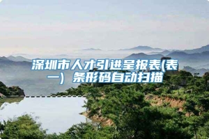 深圳市人才引进呈报表(表一) 条形码自动扫描