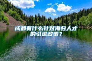 成都有什么针对海归人才的引进政策？