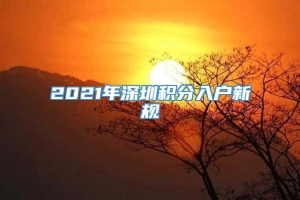 2021年深圳积分入户新规