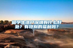 留学生落户深圳有什么好处？有特别的福利吗？