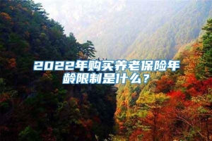 2022年购买养老保险年龄限制是什么？