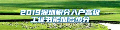 2019深圳积分入户高级工证书能加多少分