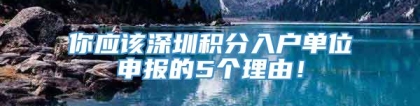 你应该深圳积分入户单位申报的5个理由！