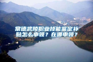 常德武陵职业技能鉴定补贴怎么申领？在哪申领？