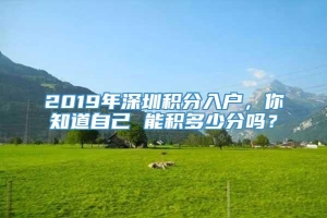 2019年深圳积分入户，你知道自己 能积多少分吗？