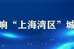 安居补贴提高、人才公寓入住年限延长……金山这些利好政策成效高