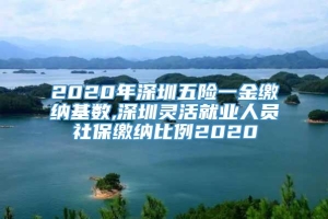 2020年深圳五险一金缴纳基数,深圳灵活就业人员社保缴纳比例2020