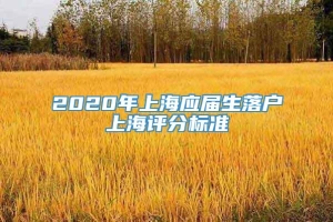 2020年上海应届生落户上海评分标准