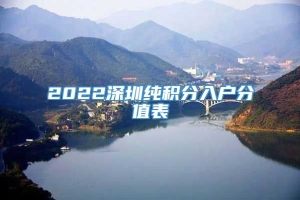 2022深圳纯积分入户分值表