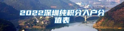 2022深圳纯积分入户分值表