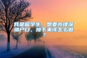 我是留学生，想要办理深圳户口，接下来该怎么做？