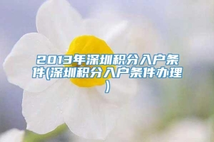 2013年深圳积分入户条件(深圳积分入户条件办理)