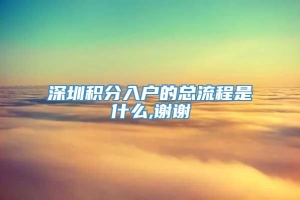 深圳积分入户的总流程是什么,谢谢