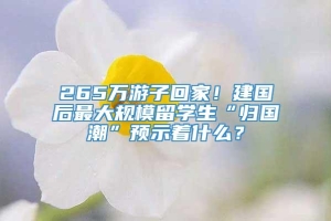 265万游子回家！建国后最大规模留学生“归国潮”预示着什么？