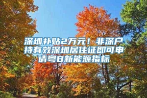 深圳补贴2万元！非深户持有效深圳居住证即可申请粤B新能源指标