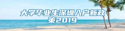 大学毕业生深圳入户新政策2019