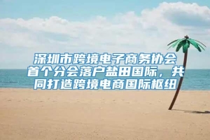 深圳市跨境电子商务协会首个分会落户盐田国际，共同打造跨境电商国际枢纽