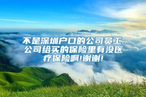 不是深圳户口的公司员工.公司给买的保险里有没医疗保险啊!谢谢!