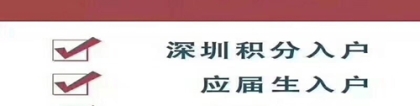 2022年深圳市人才引进补贴系统