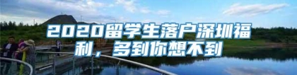 2020留学生落户深圳福利，多到你想不到