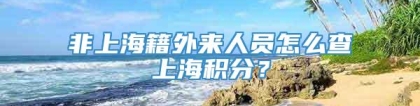 非上海籍外来人员怎么查上海积分？