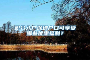 积分入户深圳户口可享受哪些优惠福利？