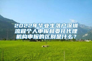 2022年毕业生落户深圳流程个人申报和委托代理机构申报的区别是什么？