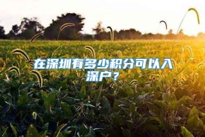 在深圳有多少积分可以入深户？