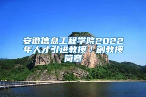 安徽信息工程学院2022年人才引进教授／副教授简章