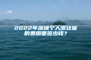 2022年深圳个人缴社保的费用要多少钱？