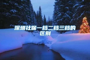 深圳社保一档二档三档的区别