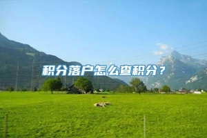 积分落户怎么查积分？