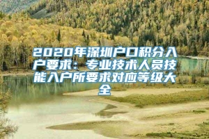 2020年深圳户口积分入户要求：专业技术人员技能入户所要求对应等级大全