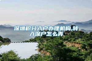 深圳积分入户办理机构,转入深户怎么弄