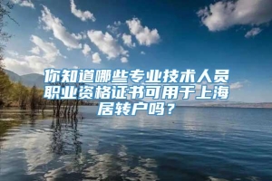 你知道哪些专业技术人员职业资格证书可用于上海居转户吗？