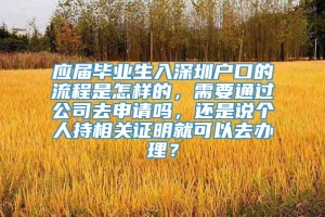 应届毕业生入深圳户口的流程是怎样的，需要通过公司去申请吗，还是说个人持相关证明就可以去办理？